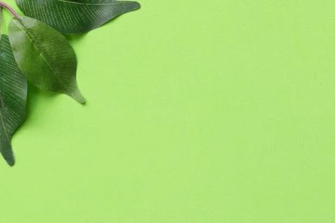 Spring Background Stock Photos