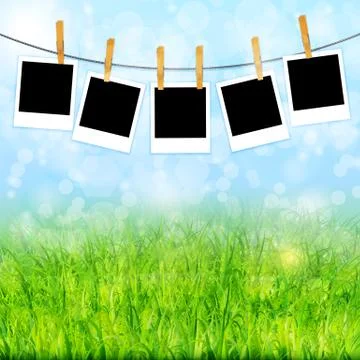 Spring background with photos vector Stock Illustration