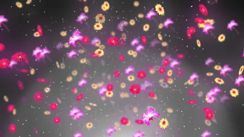 Spring Background with pink and red flowers Stock Footage 236421850