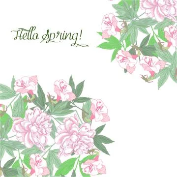 Spring background with pink flowers pink peonies Stock Illustration