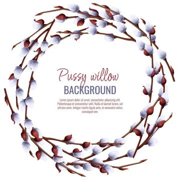Spring background with pussy willow branches. Postcard, banner for Easter. Sp 스톡 일러스트
