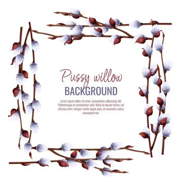 Spring background with pussy willow branches. Postcard, banner for Easter. Sp Stock Illustration