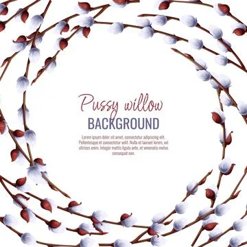 Spring background with pussy willow branches. Postcard, banner for Easter. Sp Stock Illustration