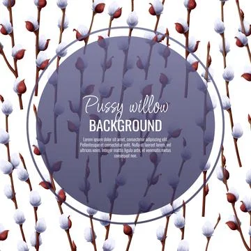Spring background with pussy willow branches. Postcard, banner for Easter. Sp 스톡 일러스트