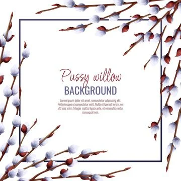 Spring background with pussy willow branches. Postcard, banner for Easter. Sp Stock Illustration