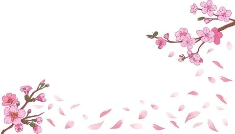 Spring background Sakura Cherry blossom vector art Stock Illustration