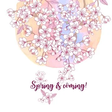 Spring background with sakura Stock Illustration