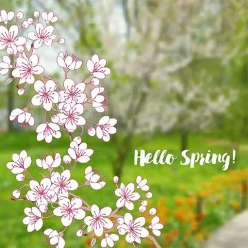 Spring background with sakura Stock Illustration