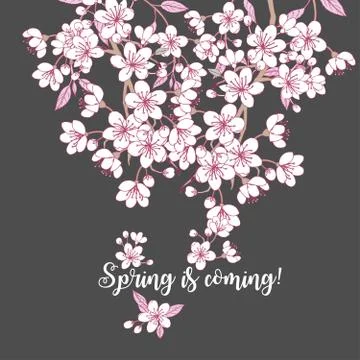 Spring background with sakura Stock Illustration