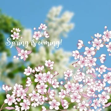 Spring background with sakura Stock Illustration