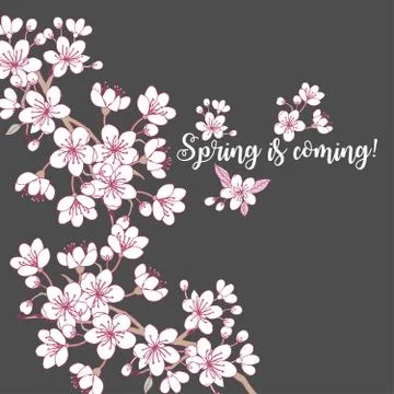 Spring background with sakura Stock Illustration
