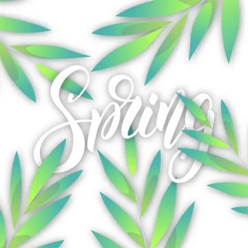 Spring. Background with script lettering Spring and fresh leaves Stock Illustration