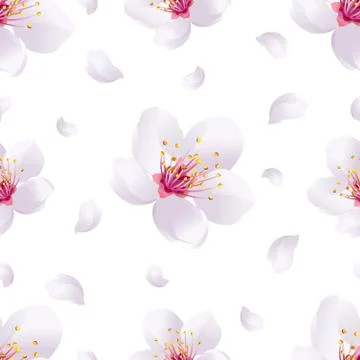 Spring background seamless pattern with sakura blossom Stock Illustration