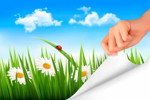 Spring background with sky, flowers, grass and a ladybug. vector. Stock Illustration
