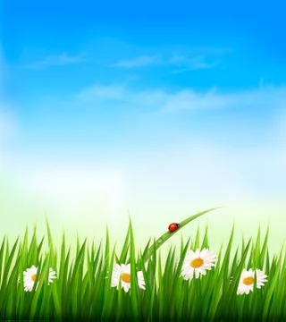Spring background with sky, flowers, grass and a ladybug. Vector. Stock Illustration