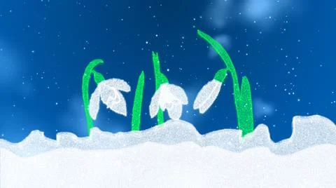 Spring background with snowdrops and flying snow Stock Illustration