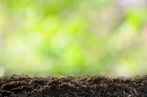 Spring background with soil. Copy space Stock Photos