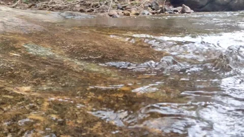 Spring background Stream of water in the forest Stock Footage 260672075