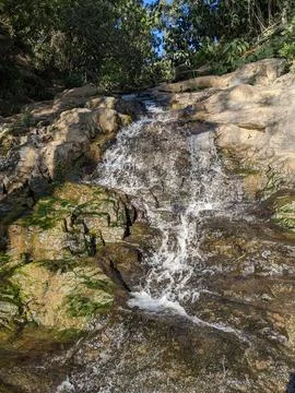 Spring background Stream of water in the forest Stock Photos