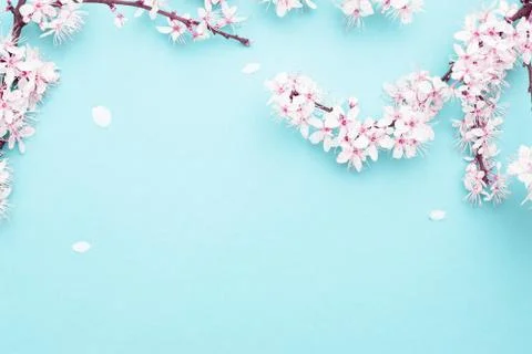 Spring background table. May flowers and April floral nature on blue. For banner Foto stock