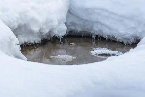 Spring background with a thaw in the snow Stock Photos