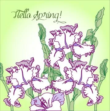 Spring  background with three irises. Stock Illustration