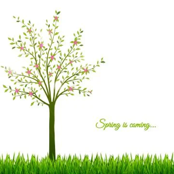Spring background with tree and grass Stock Illustration