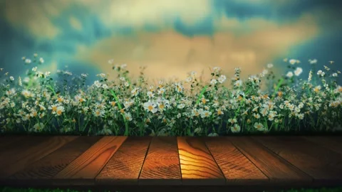 Spring background video loop, with space for products packshot Stock Footage 332803369
