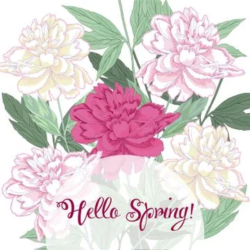 Spring  background with white and pink peony Stock Illustration
