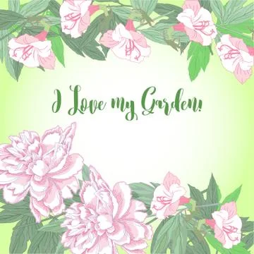 Spring  background with white and pink peony Stock Illustration