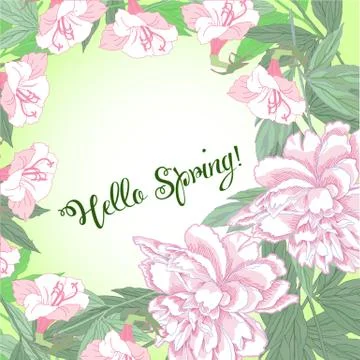 Spring  background with white and pink peony Stock Illustration