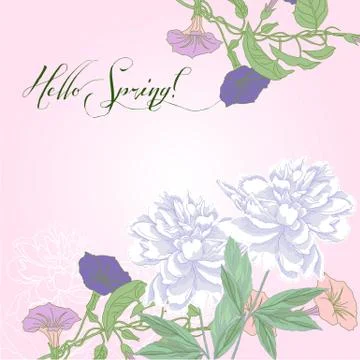 Spring background white peonies Stock Illustration