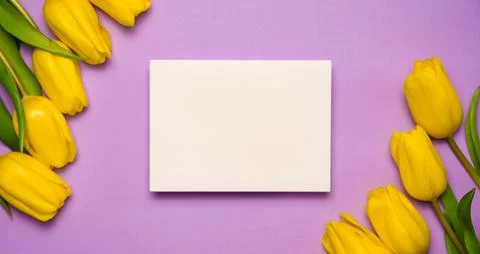 Spring background with yellow tulips and empty card for text. Easter, mpthe.. Stock Photos