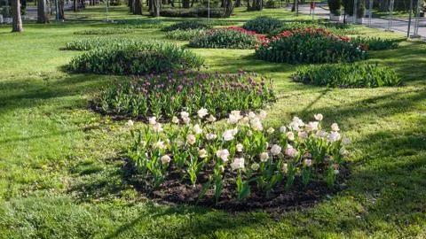 Spring at backyard and garden Foto stock