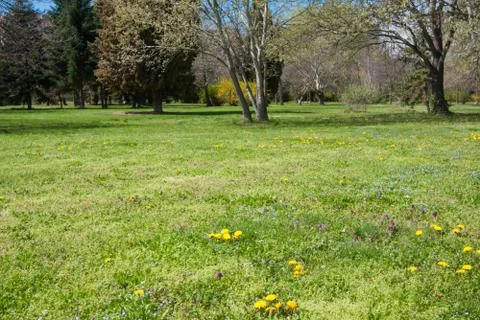 Spring at backyard and garden Stock Photos
