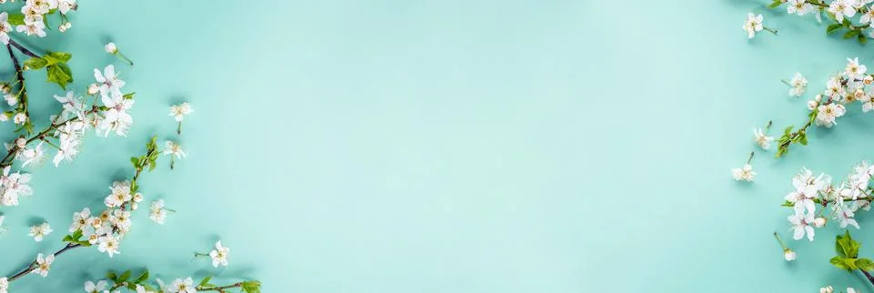 Spring banner with blooming branches Stock Photos