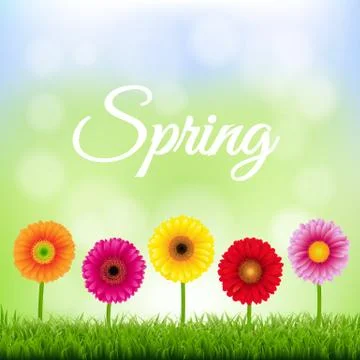 Spring Banner With Flowers Stock Illustration