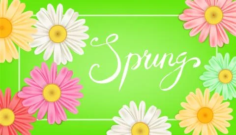 Spring banner. Hand drawn lettering. Background with chamomile, daisy. Spring Stock Illustration