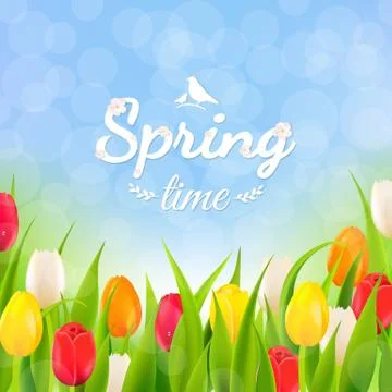 Spring Banner Stock Illustration