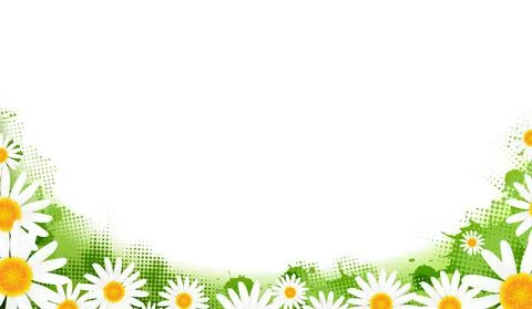 Spring Banner With Spring Camomiles Stock Illustration