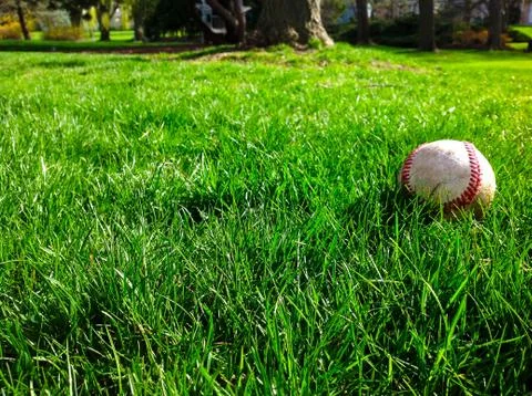 Spring Baseball 写真素材