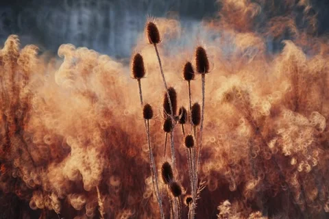 Spring battles winter by the river. Slider shots with picturesque bokeh. Video stock 329377473