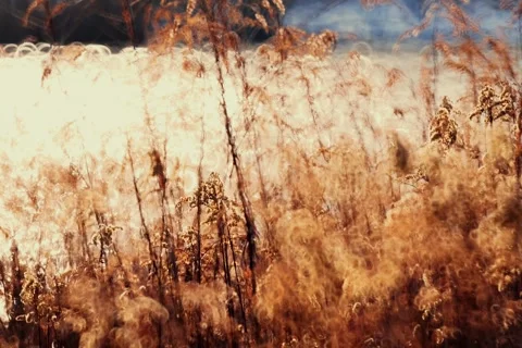 Spring battles winter by the river. Slider shots with picturesque bokeh. Stock Footage 329378291