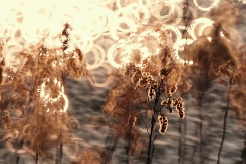 Spring battles winter by the river. Slider shots with picturesque bokeh. Stock Footage 329378595