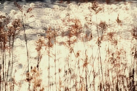 Spring battles winter by the river. Slider shots with picturesque bokeh. Stock Footage 329379721