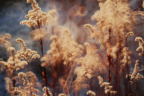 Spring battles winter by the river. Slider shots with picturesque bokeh. Stock Footage 329381289