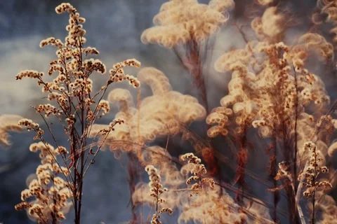 Spring battles winter by the river. Slider shots with picturesque bokeh. Video stock 329381322