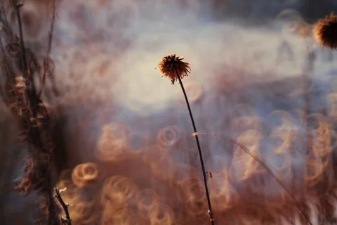 Spring battles winter by the river. Slider shots with picturesque bokeh. Stock Footage 329381677