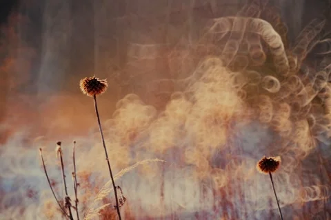 Spring battles winter by the river. Slider shots with picturesque bokeh. Video stock 329382092