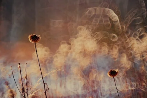 Spring battles winter by the river. Slider shots with picturesque bokeh. Stock Footage 329382158